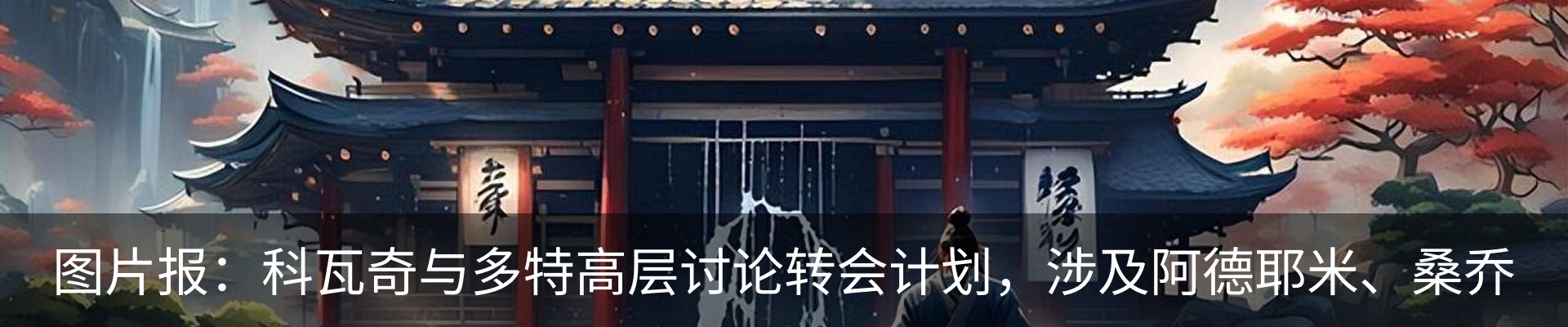 最新动态